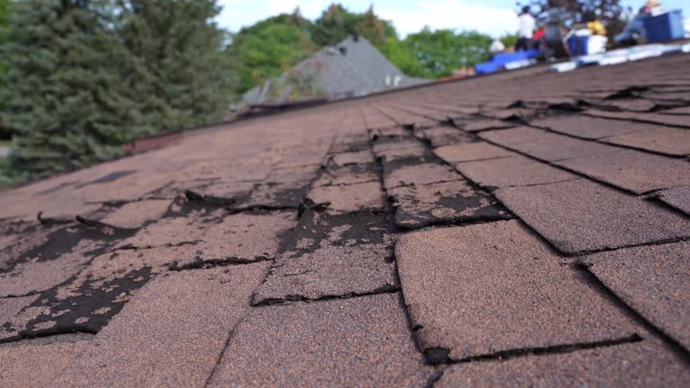 Trusted Konawa, OK Roofing Service Experts