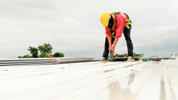 Best Roof Moss and Algae Removal  in Konawa, OK